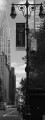 New York Vertical (tributo a Horst Hamann)