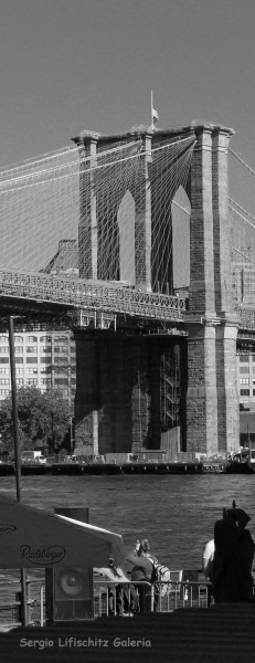 Foto 3/New York Vertical (tributo a Horst Hamann)