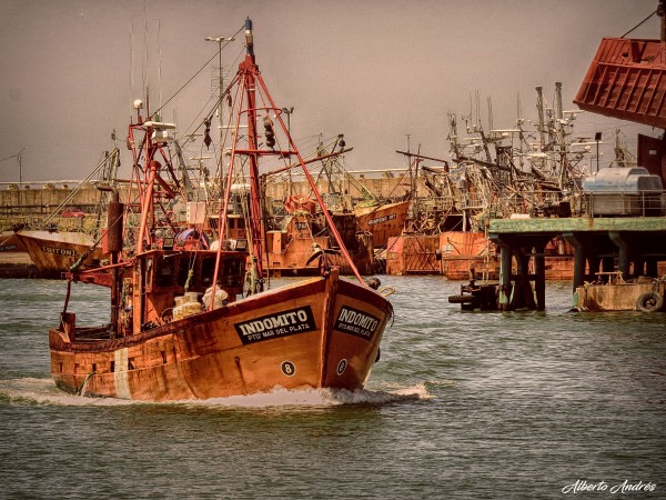 Foto 4/Mar del Plata, Cuna de Pescadores