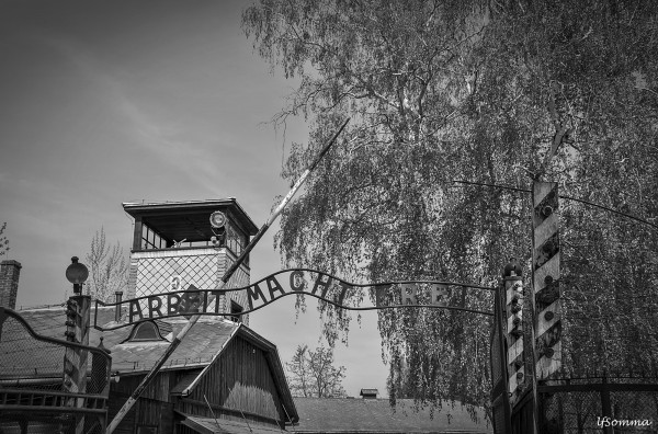 Foto 1/Auschwitz