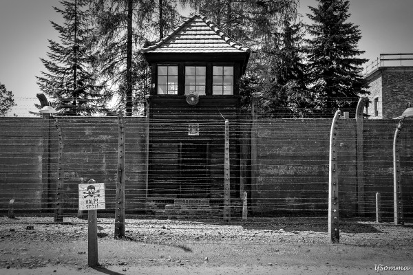 Foto 4/Auschwitz