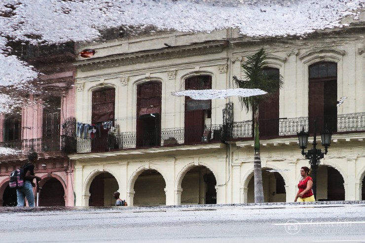 Foto 5/`La Habana en fantasa`