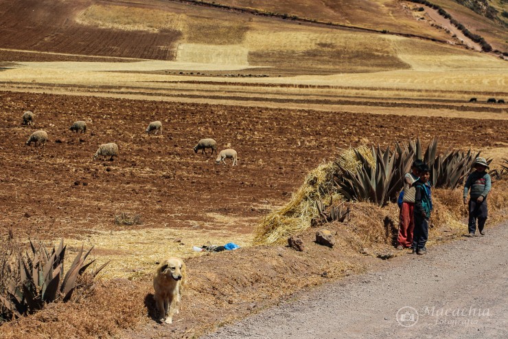 Foto 2/`De Cusco a Maras `