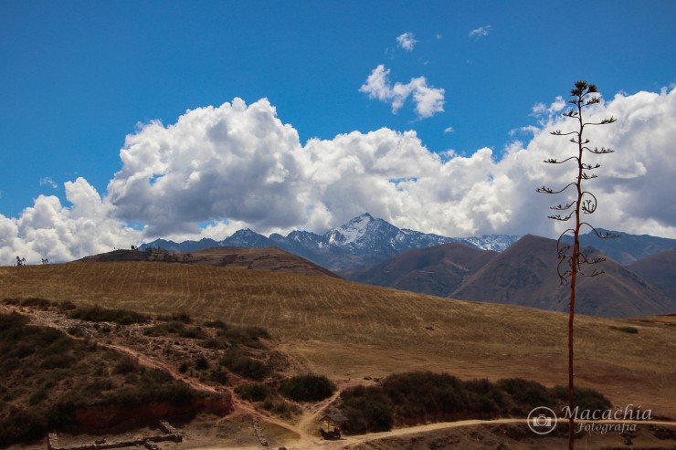 Foto 3/`De Cusco a Maras `