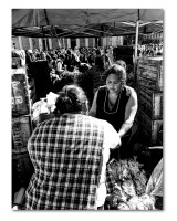 Productores ofreciendo su mercanca en Plaza de Ma