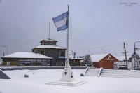 Fro patagonico en el fin del mundo