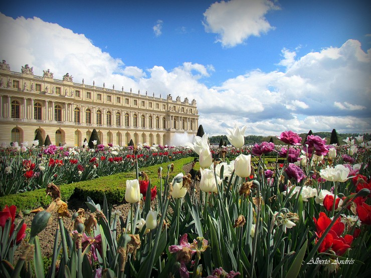 Foto 5/Versalles y sus jardines