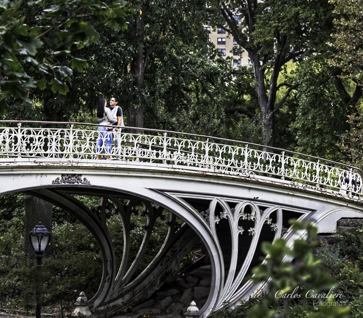 Foto 2/Caminando por el Central Park