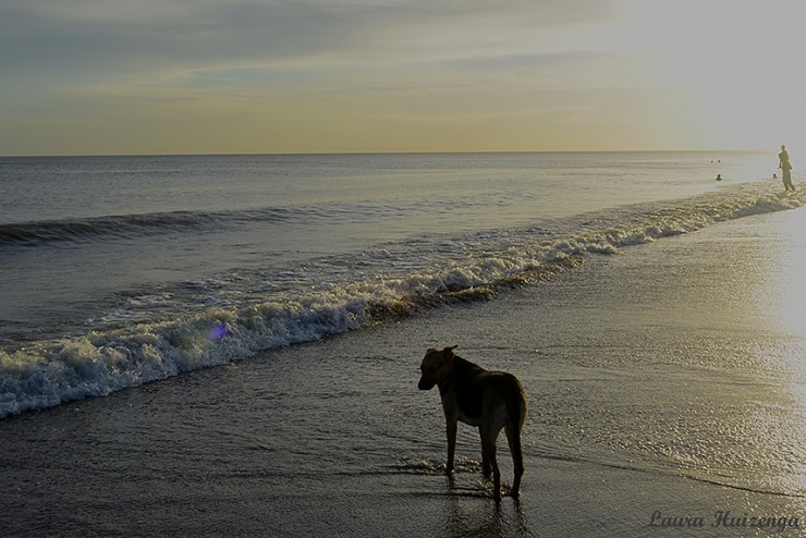 Foto 2/El perro y el mar