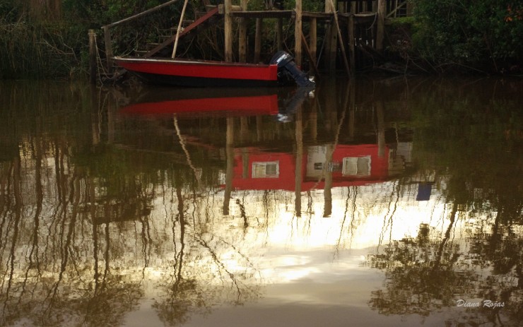 Foto 5/Pescando reflejos en el Rama Negra