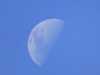 Luna hora 08 am