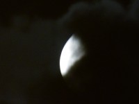 Luna nochera
