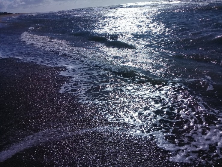 Foto 2/...a orillas del mar...
