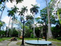 Historia, naturaleza y arte en museo camagüeyano