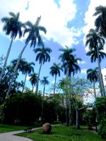 Historia, naturaleza y arte en museo camagüeyano