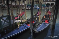 La bella Venezia...