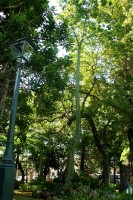 Jardín Botánico en el corazón de La Habana (I)