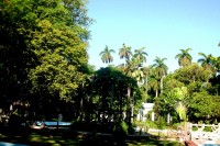 Jardín Botánico en el corazón de La Habana (II)
