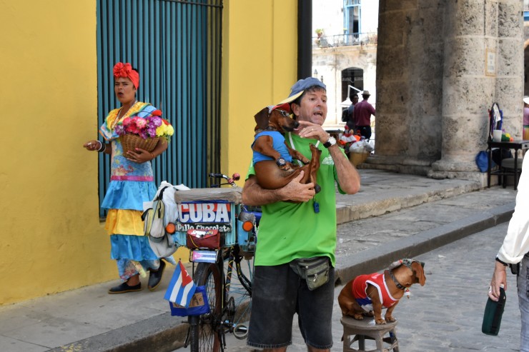 Foto 2/La Habana