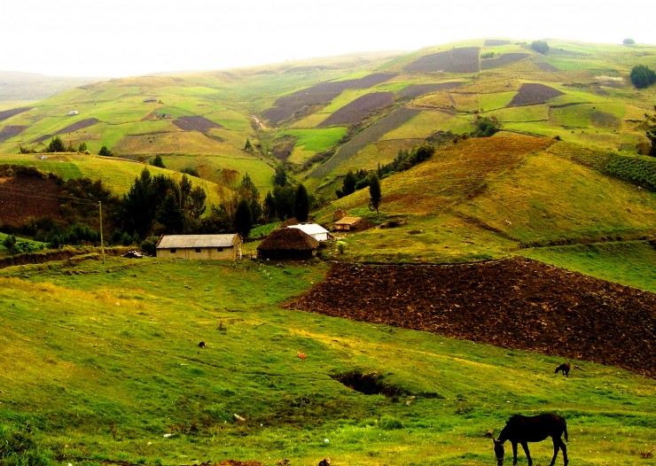 Foto 1/Camino a El Lindero, al Chimborazo…