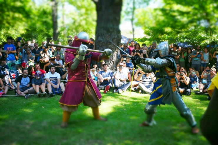 Foto 3/Combate Medieval