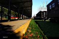 Estacion Avellaneda