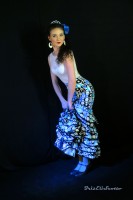 `Flamenco Azul`