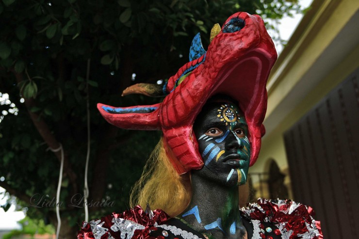Foto 5/Carnaval dominicano