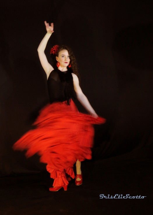 Foto 1/`Movida Flamenca`