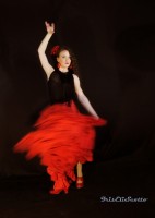 `Movida Flamenca`