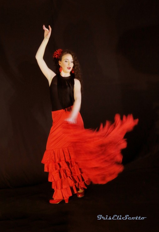 Foto 2/`Movida Flamenca`