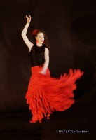 `Movida Flamenca`