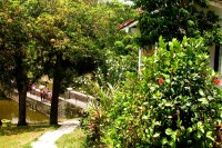 Las Terrazas, Cuba: una ciudad en miniatura (II)