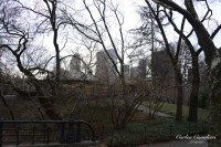 Por el Central Park...