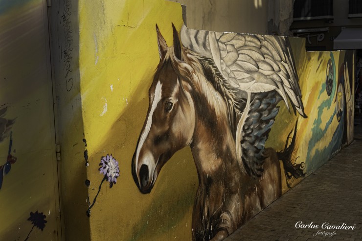 Foto 4/Graffiti en Malaga...