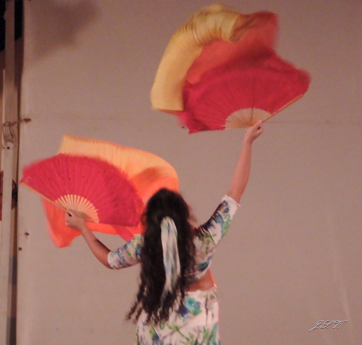 Foto 1/La danza con abanicos de seda