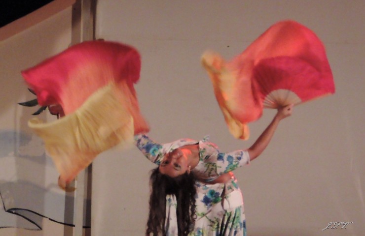 Foto 2/La danza con abanicos de seda