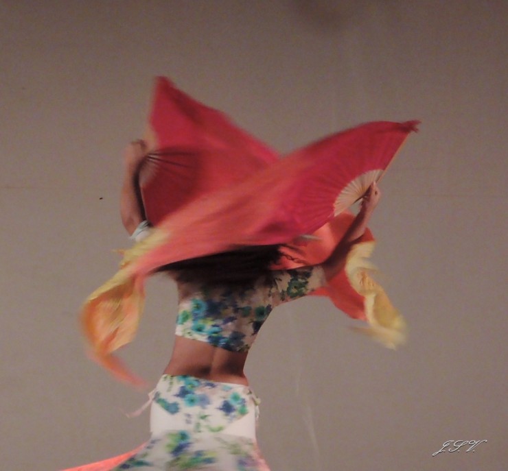 Foto 3/La danza con abanicos de seda