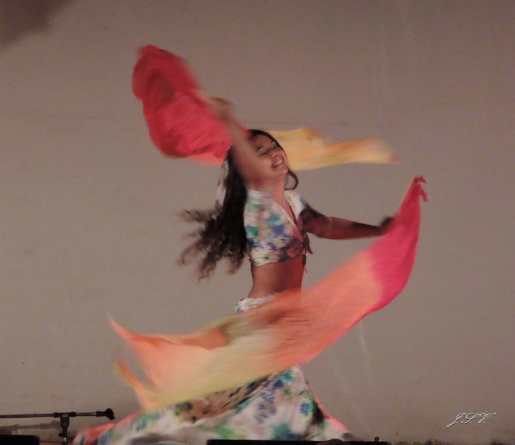 Foto 4/La danza con abanicos de seda