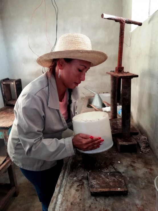 Foto 2/Cuba: fabricacin de queso criollo