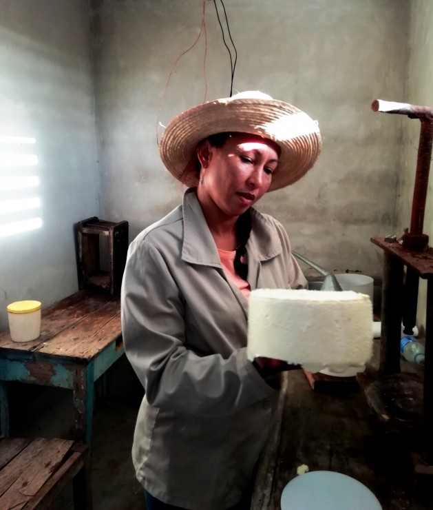 Foto 3/Cuba: fabricacin de queso criollo