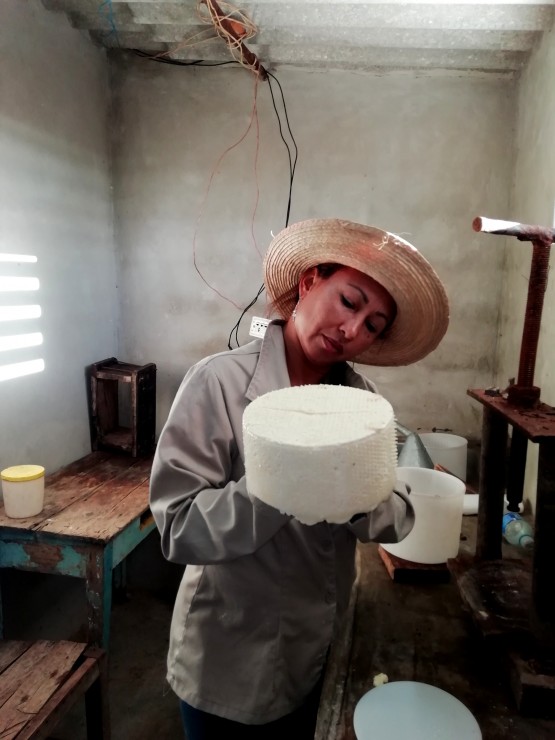 Foto 4/Cuba: fabricacin de queso criollo