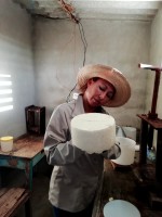 Cuba: fabricación de queso criollo