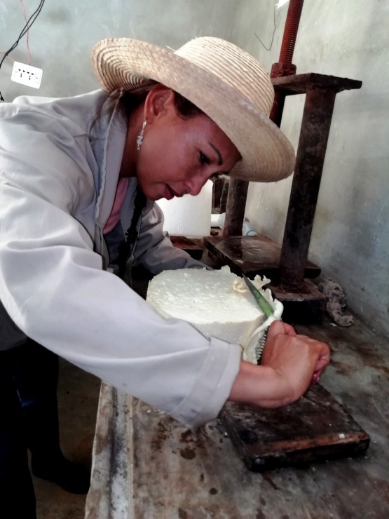 Foto 5/Cuba: fabricacin de queso criollo