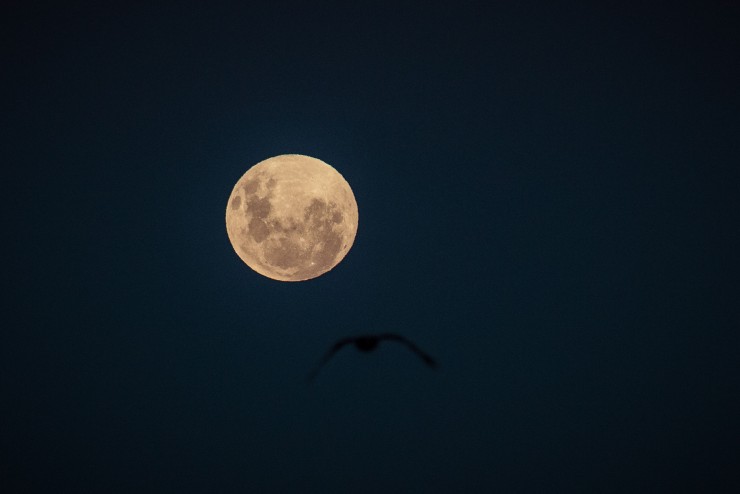 Foto 4/Vuelos con la luna