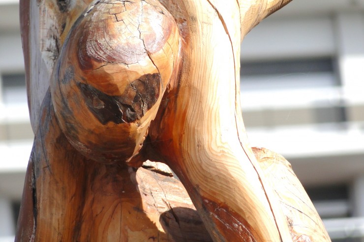 Foto 4/Escultura en madera.