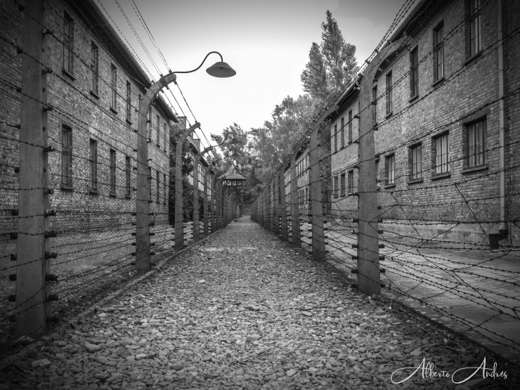 Foto 2/Auschwitz o la fábrica de la muerte