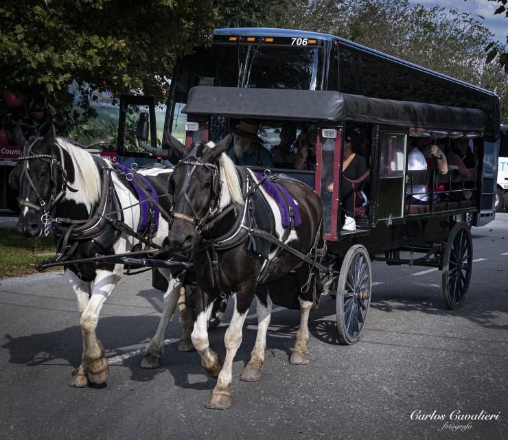 Foto 3/Los Amish