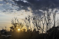 Agua , sol y el final del dia...