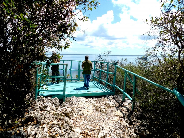 Foto 5/Ballenato del medio: la islita de iguanas
